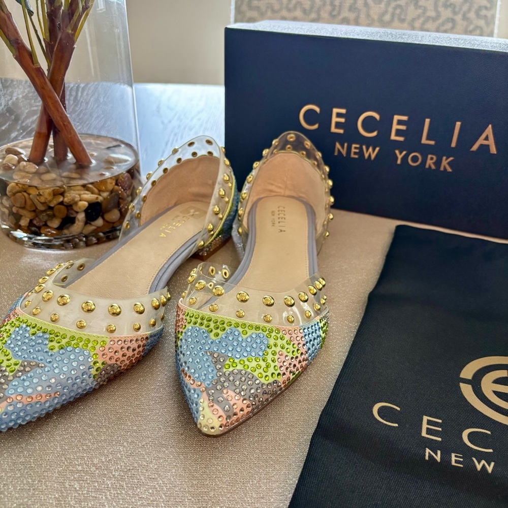 Cecelia Crystal Ballet Flats NEW